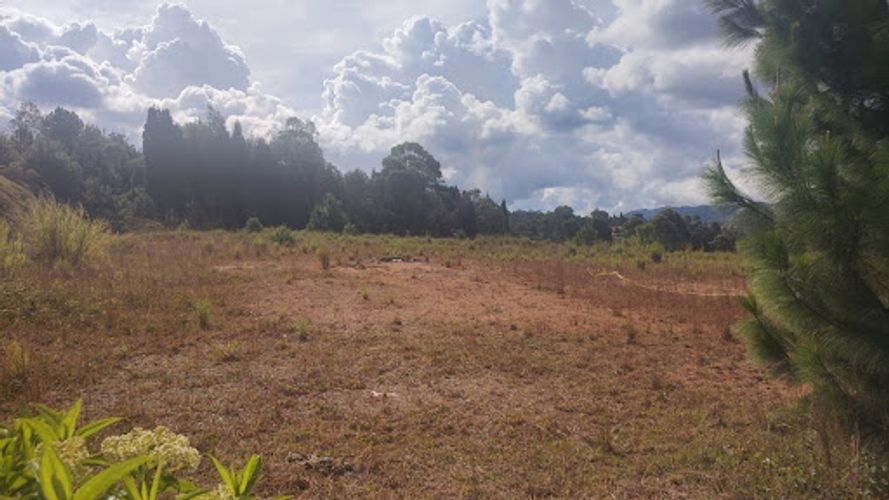 Lote en venta en El Salado, Guarne, 14600 m² · foto 2 de 19