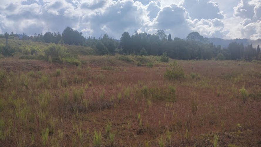 Lote en venta en El Salado, Guarne, 14600 m² · foto 7 de 19