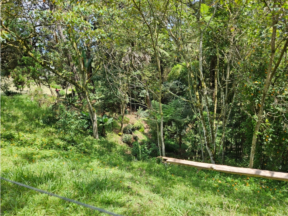 Land in Cabeceras de llanogrande (3700 m²) for Sale - 3
