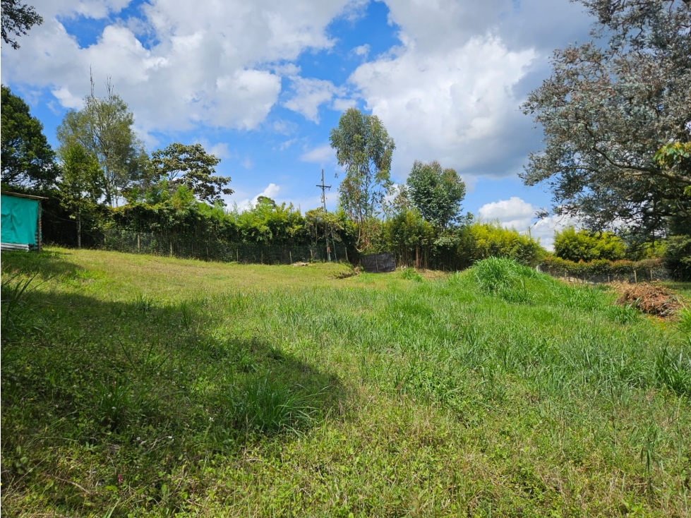 Land in Cabeceras de llanogrande (3700 m²) for Sale - 4
