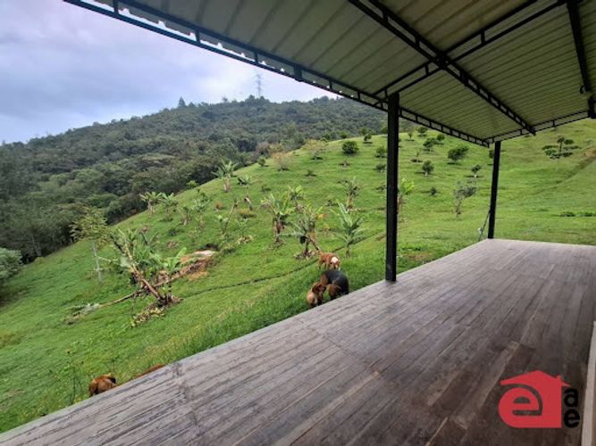 Lote en venta en La Sonadora, El Carmen de Viboral, 3300 m² · foto 10 de 16