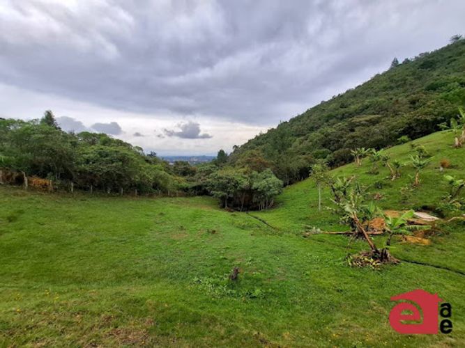 Lote en venta en La Sonadora, El Carmen de Viboral, 3300 m² · foto 12 de 16