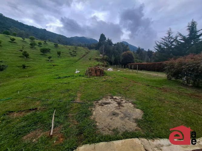 Lote en venta en La Sonadora, El Carmen de Viboral, 3300 m² · foto 14 de 16