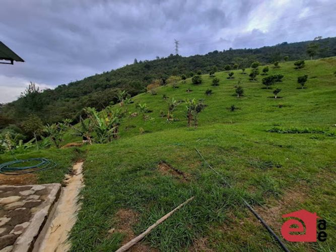 Lote en venta en La Sonadora, El Carmen de Viboral, 3300 m² · foto 16 de 16