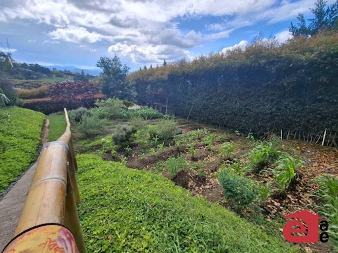Casa de 5 alcobas en venta en Lomitas, La Ceja · foto 14 de 23