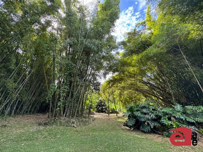 Casa de 3 alcobas en venta en Cuatro Esquinas, Rionegro · foto 22 de 24