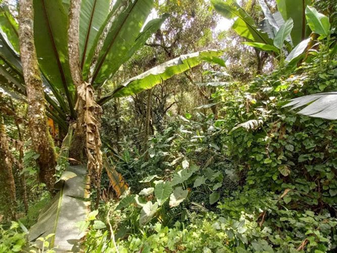 Casa de 2 alcobas en venta en Vía Las Palmas, El Retiro, 200 m² · foto 15 de 17