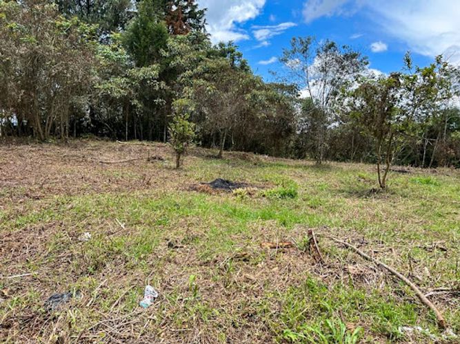 Lote en venta en Los Pinos, Rionegro, 7950 m² · foto 2 de 7