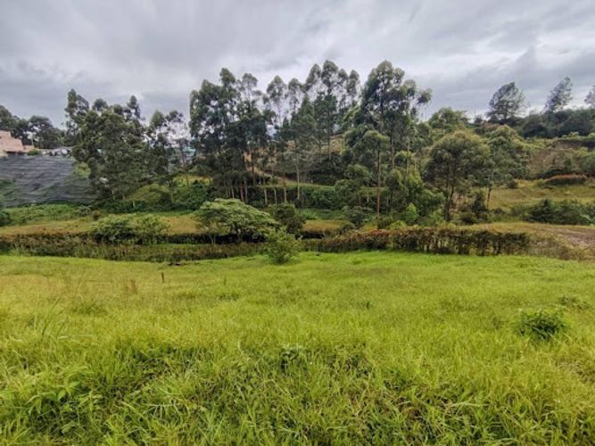 Lote en venta en La Maria, El Carmen de Viboral, 3740 m² · foto 5 de 11