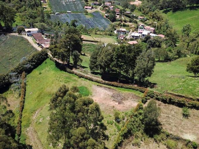 Lote en venta en La Maria, El Carmen de Viboral, 3740 m² · foto 11 de 11
