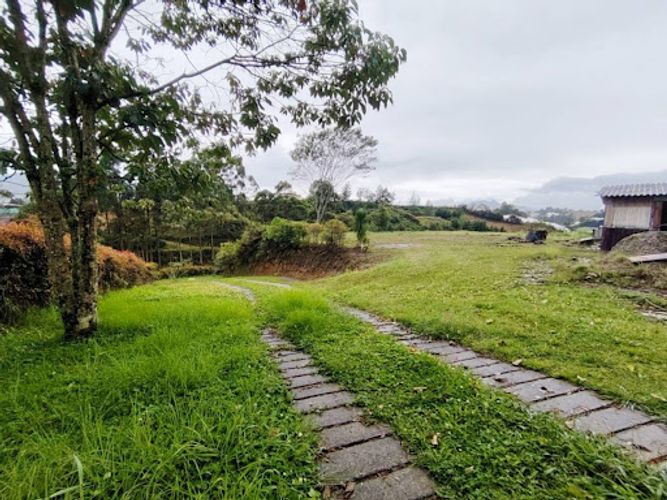 Lote en venta en La Maria, El Carmen de Viboral, 3049 m² · foto 8 de 11