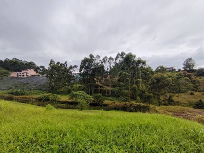 Lote en venta en La Maria, El Carmen de Viboral, 3058 m² · foto 7 de 11
