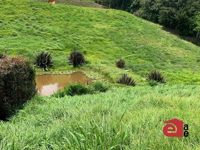 Lote en venta en Samaria, El Carmen de Viboral, 2250 m² · foto 2 de 6