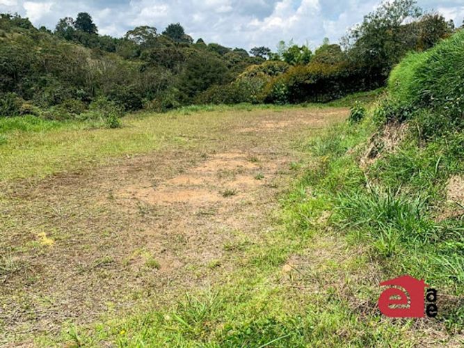Lote en venta en Samaria, El Carmen de Viboral, 2250 m² · foto 5 de 6