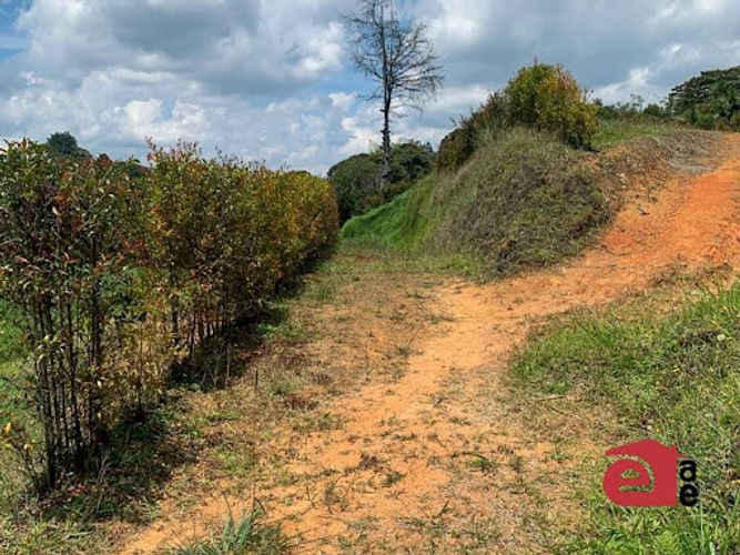 Lote en venta en Samaria, El Carmen de Viboral, 2250 m² · foto 6 de 6