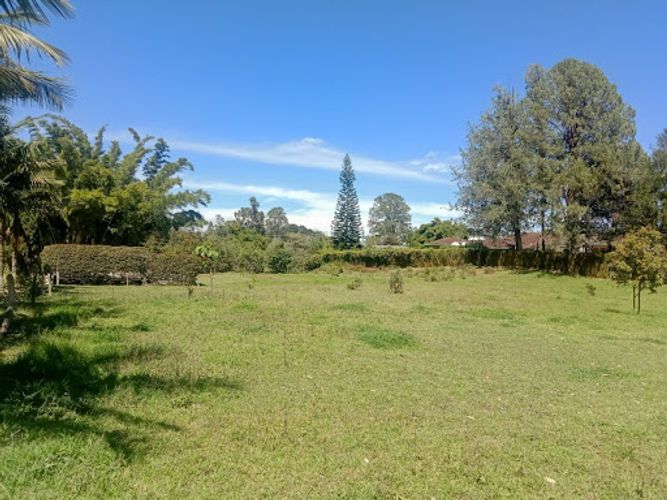 Lote en venta en Llano Grande, Rionegro, 5000 m² · foto 4 de 8