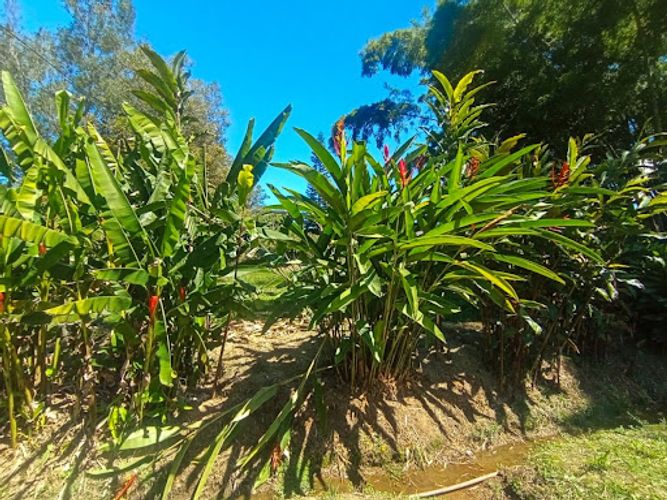 Lote en venta en Llano Grande, Rionegro, 5000 m² · foto 6 de 8
