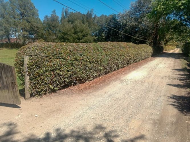 Lote en venta en Llano Grande, Rionegro, 5000 m² · foto 8 de 8