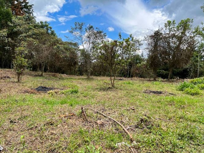 Lote en venta en Los Pinos, Rionegro, 7950 m² · foto 2 de 4