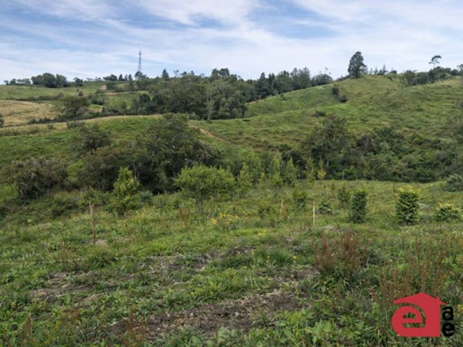 Lote en venta en El Carmen De Viboral, El Carmen de Viboral, 20300 m² · foto 2 de 6