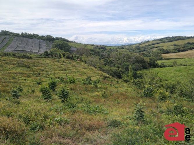 Lote en venta en El Carmen De Viboral, El Carmen de Viboral, 20300 m² · foto 3 de 6