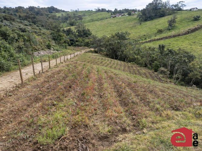 Lote en venta en El Carmen De Viboral, El Carmen de Viboral, 20300 m² · foto 5 de 6