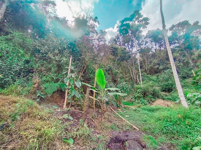 Finca en venta en Romeral, Guarne, 500 m² · foto 10 de 17