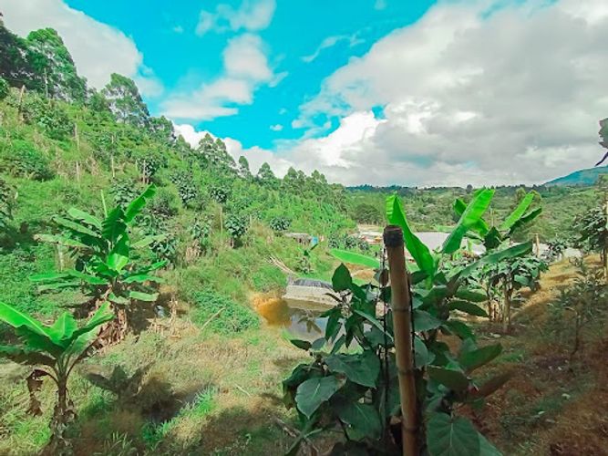 Finca en venta en Romeral, Guarne, 500 m² · foto 11 de 17