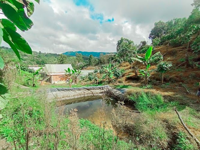 Finca en venta en Romeral, Guarne, 500 m² · foto 12 de 17