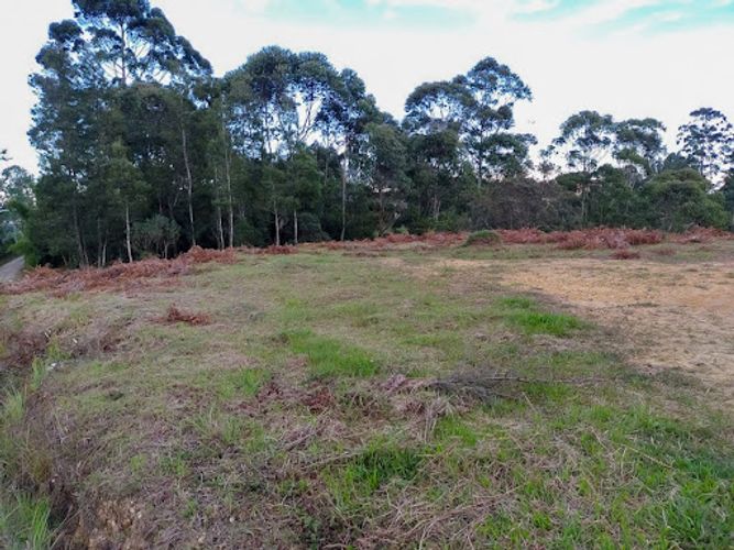 Lote en venta en Llano Grande, Rionegro, 83000 m² · foto 2 de 7