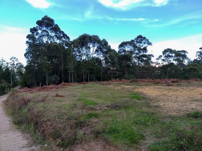 Lote en venta en Llano Grande, Rionegro, 83000 m² · foto 3 de 7
