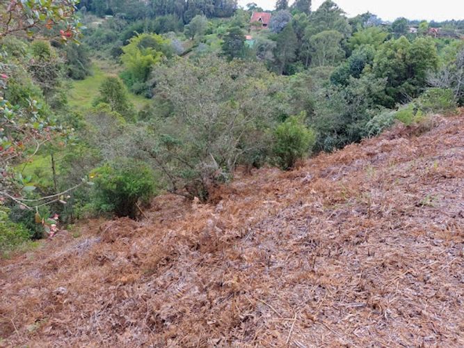 Lote en venta en Llano Grande, Rionegro, 83000 m² · foto 4 de 7