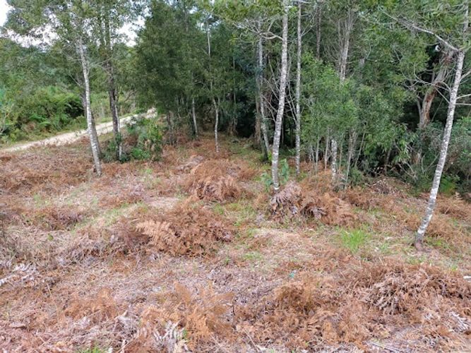 Lote en venta en Llano Grande, Rionegro, 83000 m² · foto 5 de 7