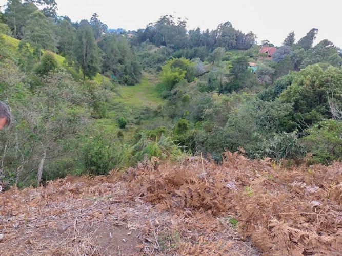 Lote en venta en Llano Grande, Rionegro, 83000 m² · foto 6 de 7
