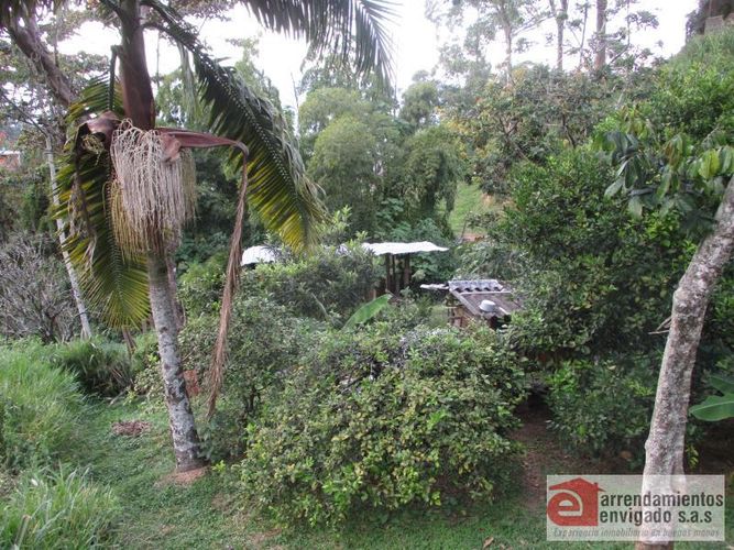 Lote en venta en Maria Auxiliadora, Sabaneta, 11000 m² · foto 3 de 7