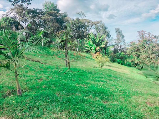 Finca en venta en El Zango, Guarne, 3100 m² · foto 21 de 23