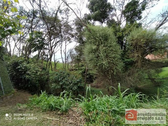 Lote en venta en El Chocho, Envigado, 6000 m² · foto 9 de 10
