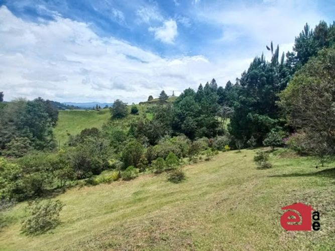 Lote en venta en Pantanillo, El Retiro, 4287 m² · foto 5 de 8