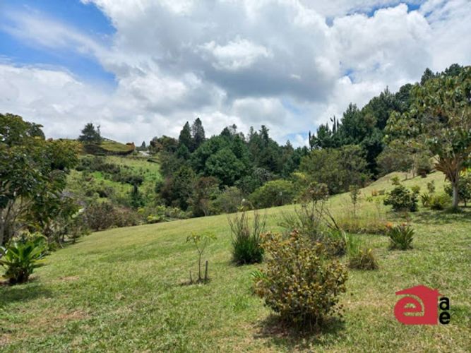Lote en venta en Pantanillo, El Retiro, 4287 m² · foto 6 de 8