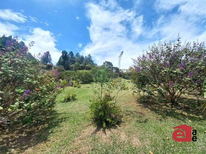 Lote en venta en Pantanillo, El Retiro, 4287 m² · foto 7 de 8