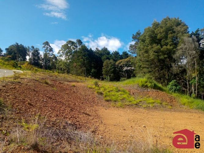 Lote en venta en El Tablazo, Rionegro, 4047 m² · foto 5 de 8