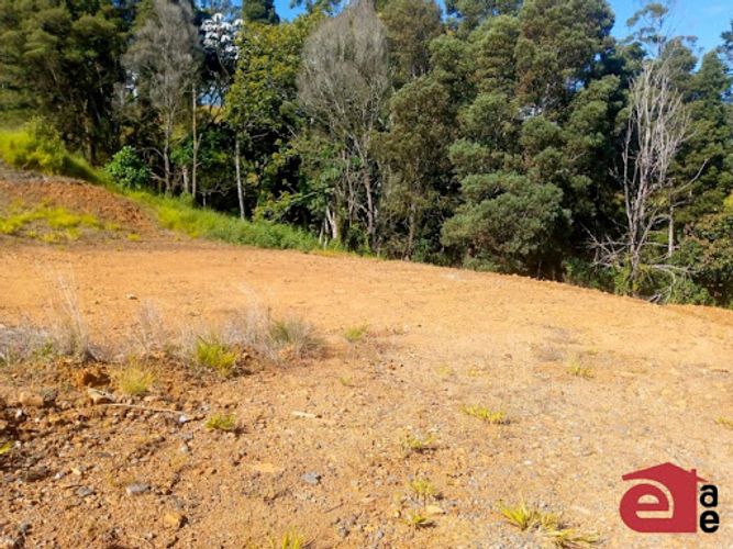 Lote en venta en El Tablazo, Rionegro, 4047 m² · foto 6 de 8