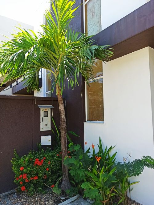 Casa de 3 alcobas en venta en Ricaurte, 150 m² · foto 5 de 24