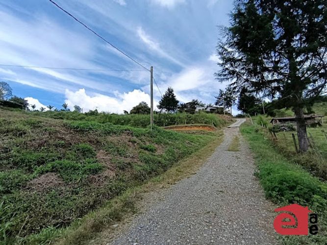Lote en venta en La Mosquita, Rionegro, 3440 m² · foto 7 de 24
