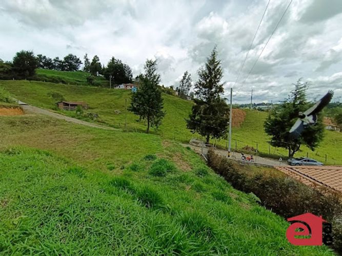 Lote en venta en La Mosquita, Rionegro, 3440 m² · foto 13 de 24