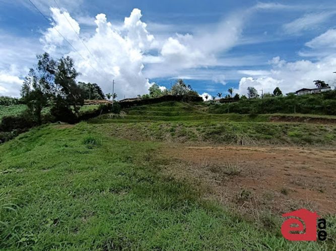 Lote en venta en La Mosquita, Rionegro, 3440 m² · foto 14 de 24