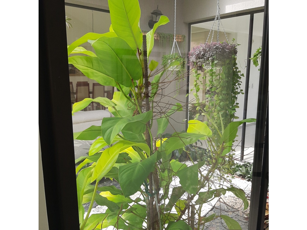 Casa en venta en Combia, Pereira · foto 18 de 24