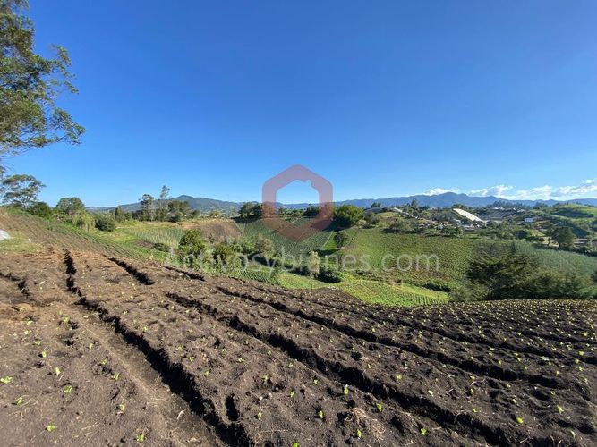Lote en venta en Cascajo Abajo, Marinilla · foto 3 de 12