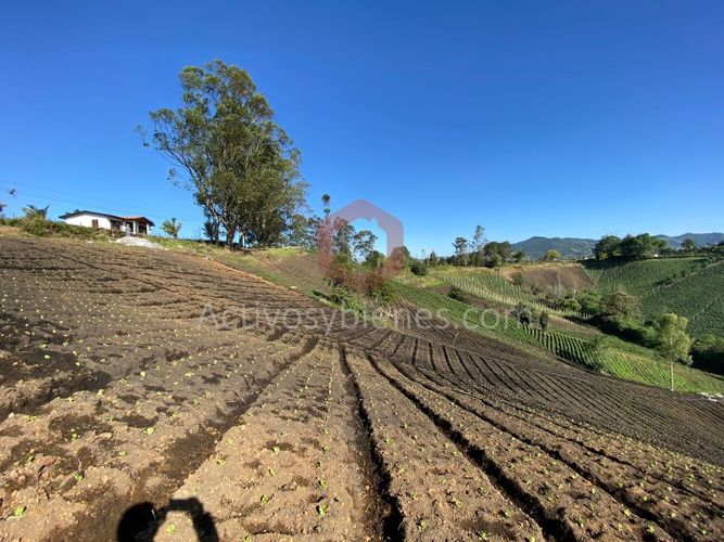 Lote en venta en Cascajo Abajo, Marinilla · foto 4 de 12