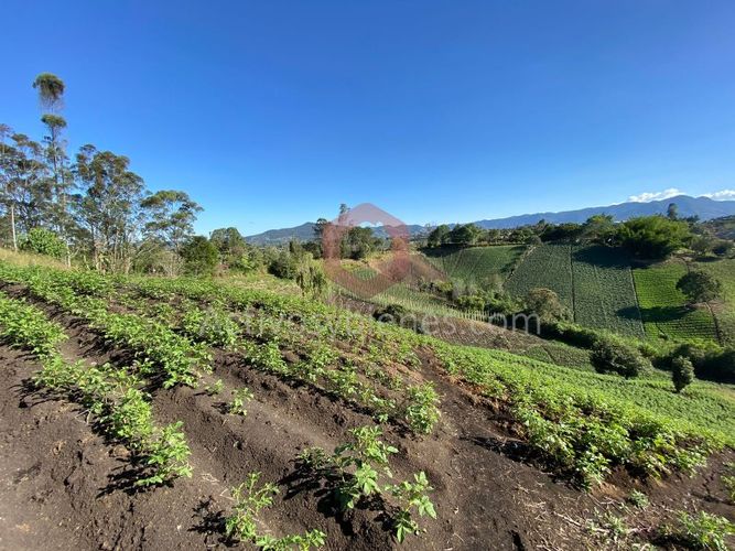 Lote en venta en Cascajo Abajo, Marinilla · foto 6 de 12